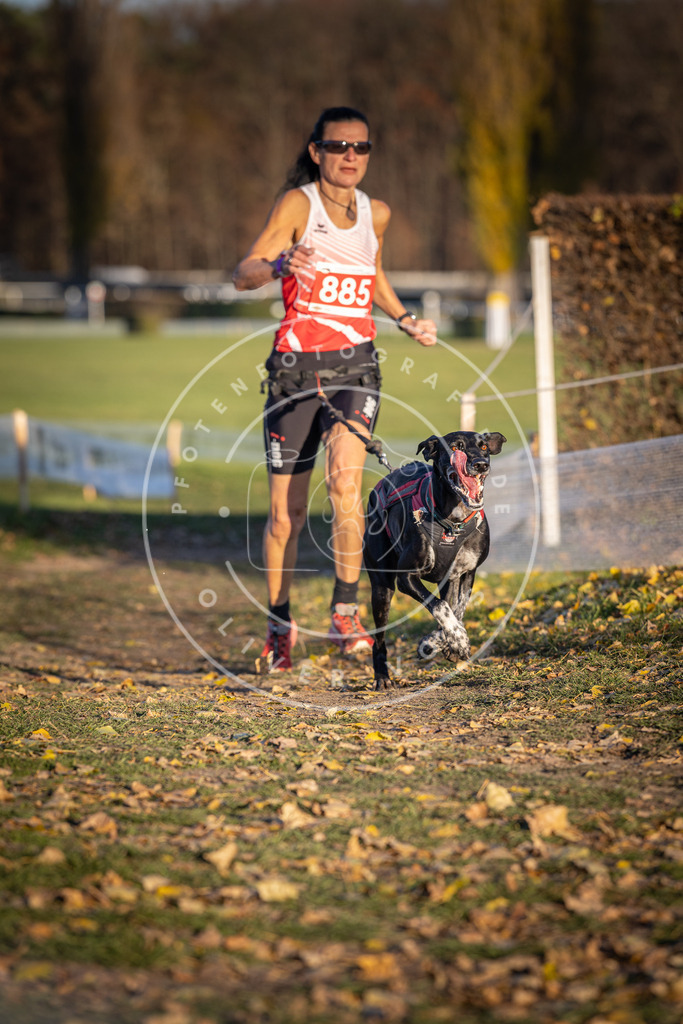 CaniXpix_DV3A4440 | Hundefotografie, Tierfotograf, Pfotenfotografie, Fotoshooting Hund, Hunde Portrait, Hundesport, Hundeportraits, Heideshooting, Hunde, Sportfotograf, Hundefotograf, Turnierhundsport, THS,  - Realisiert mit Pictrs.com