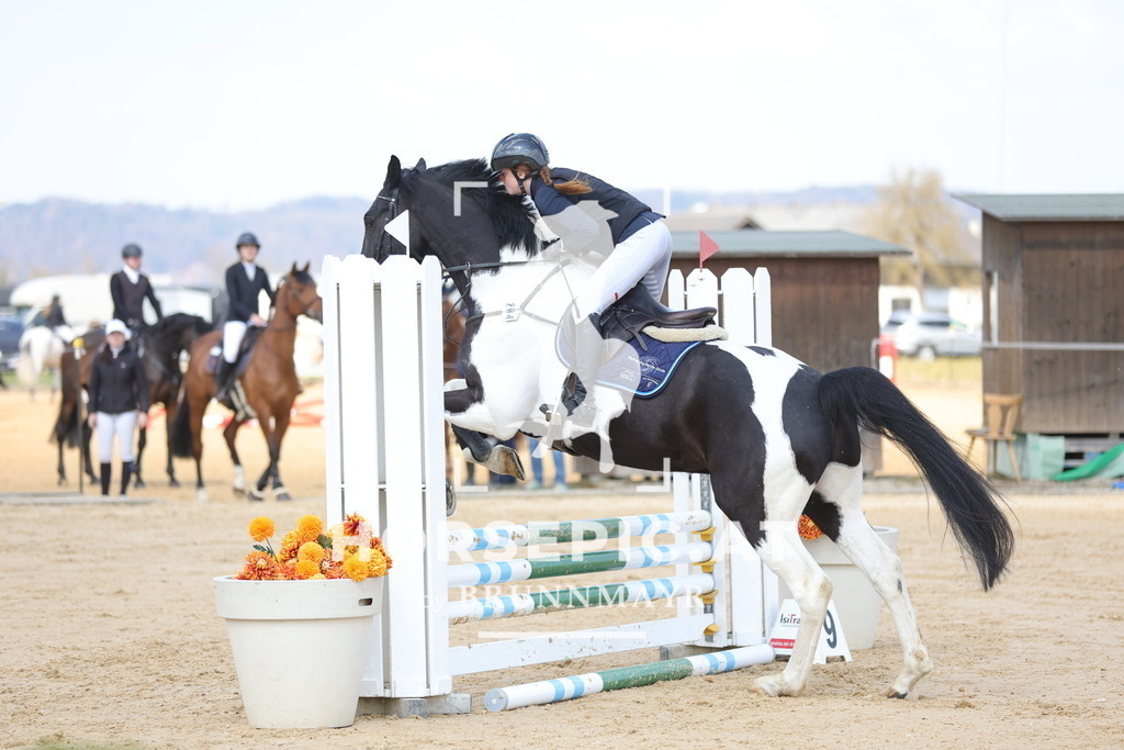 0P6A7075 | Willkommen bei Brunnmayr - Design & Fotografie – Ihrem Spezialisten für Reitturniere und Pferdeveranstaltungen in Oberösterreich, Salzburg und Bayern! Seit über 17 Jahren sind wir leidenschaftlich dabei.