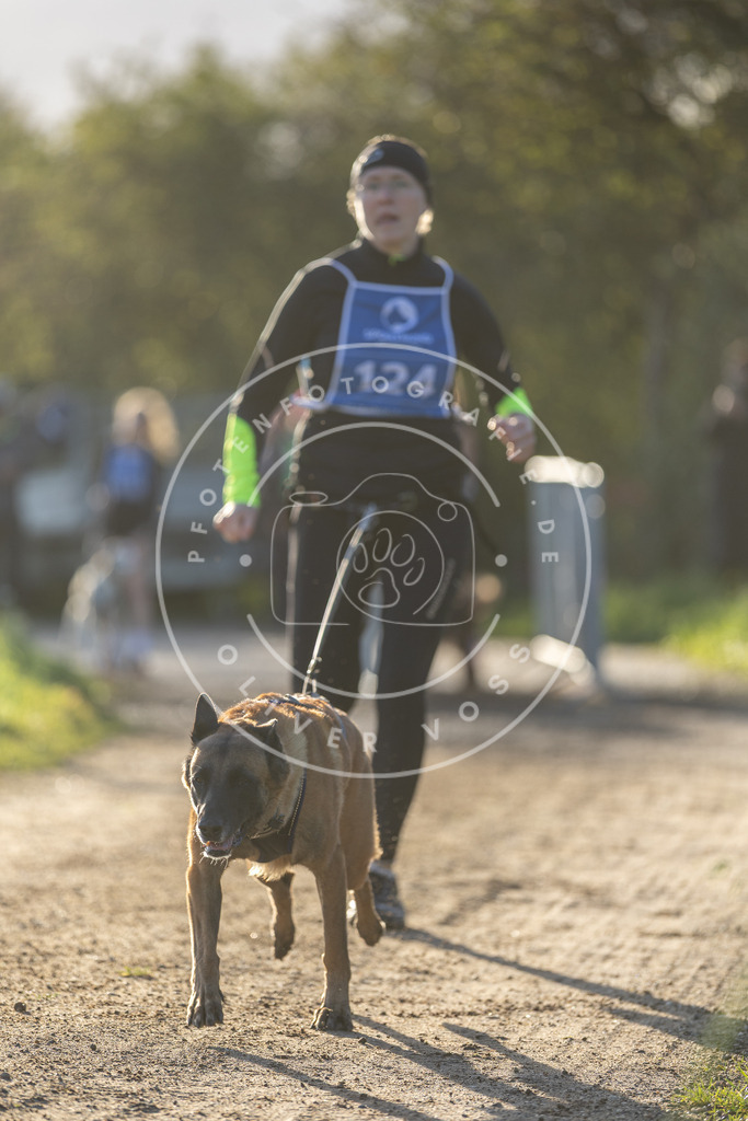 Pfotenfotografie.de_DV3A2957 | Hundefotografie, Tierfotograf, Pfotenfotografie, Fotoshooting Hund, Hunde Portrait, Hundesport, Hundeportraits, Heideshooting, Hunde, Sportfotograf, Hundefotograf, Turnierhundsport, THS, canicross - Realisiert mit Pictrs.com