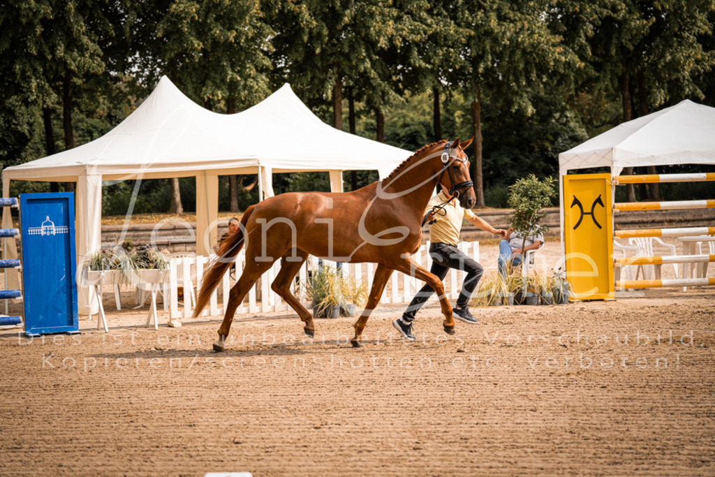 FrER00030 | Leoni Ertmer Photography - Realisiert mit Pictrs.com