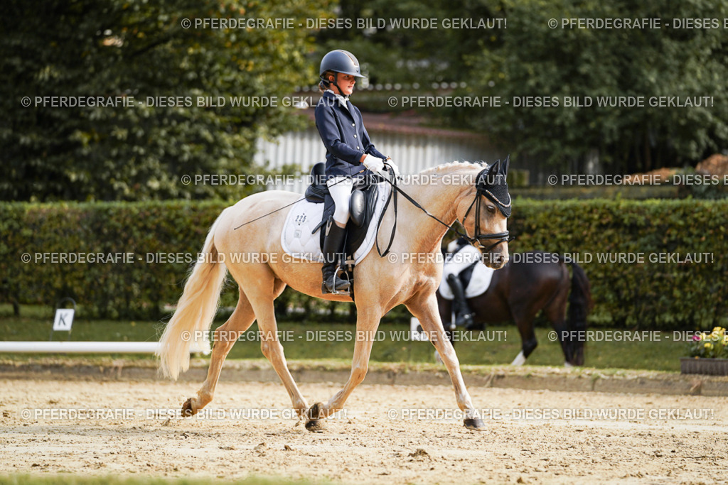 DSC04729 | Pferdegrafie