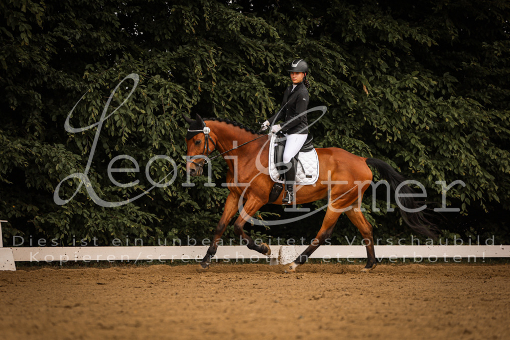 DoDrE00115 | Leoni Ertmer Photography - Realisiert mit Pictrs.com