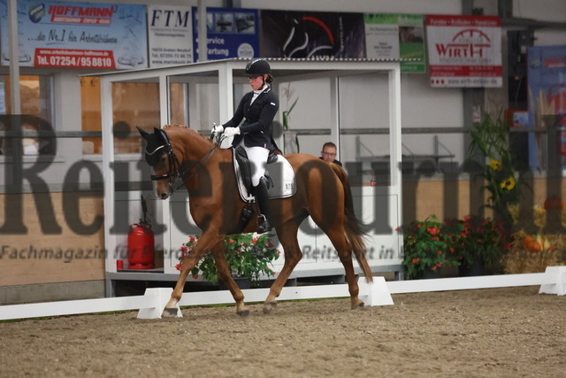 Waghäusel-Wiesental_2024_Prfg.Nr.08_1.WP_U25_Nadia Lachemann_Lissardo (3) | Alle Fotos der Reiterjournal Fotografin Doris Matthaes im Reiterjournal Online-Fotoshop. - Realisiert mit Pictrs.com