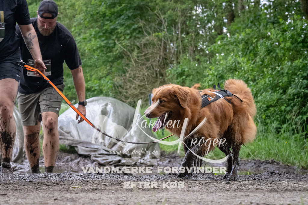 1257_ZZ94291 | kk-dogfotos