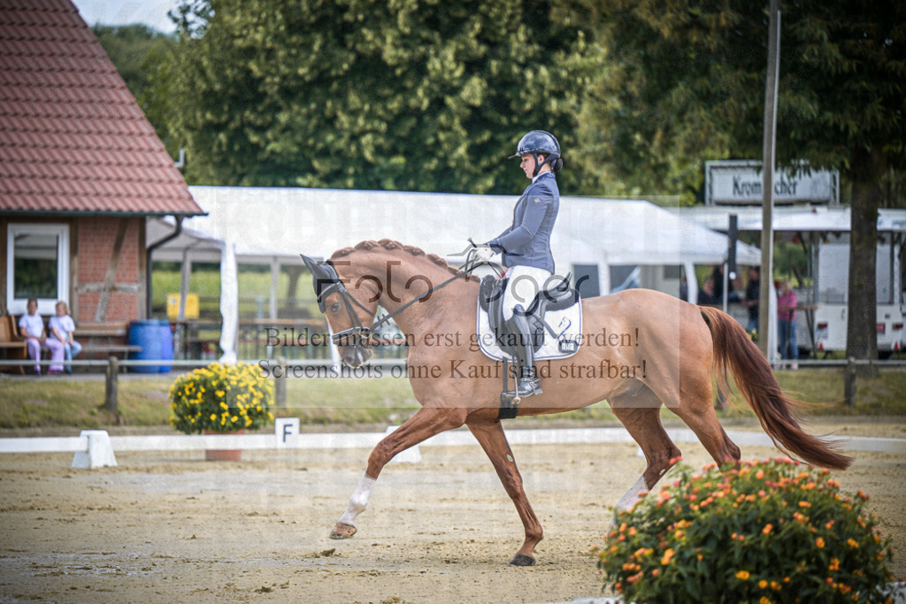 DOS_8376 | Entdecke hochwertige Reitturnierfotos von Foto Oger. Professionell, emotional und authentisch – jetzt Lieblingsmomente im Shop bestellen.Deutschlandweite Turnierfotografie. - Realisiert mit Pictrs.com