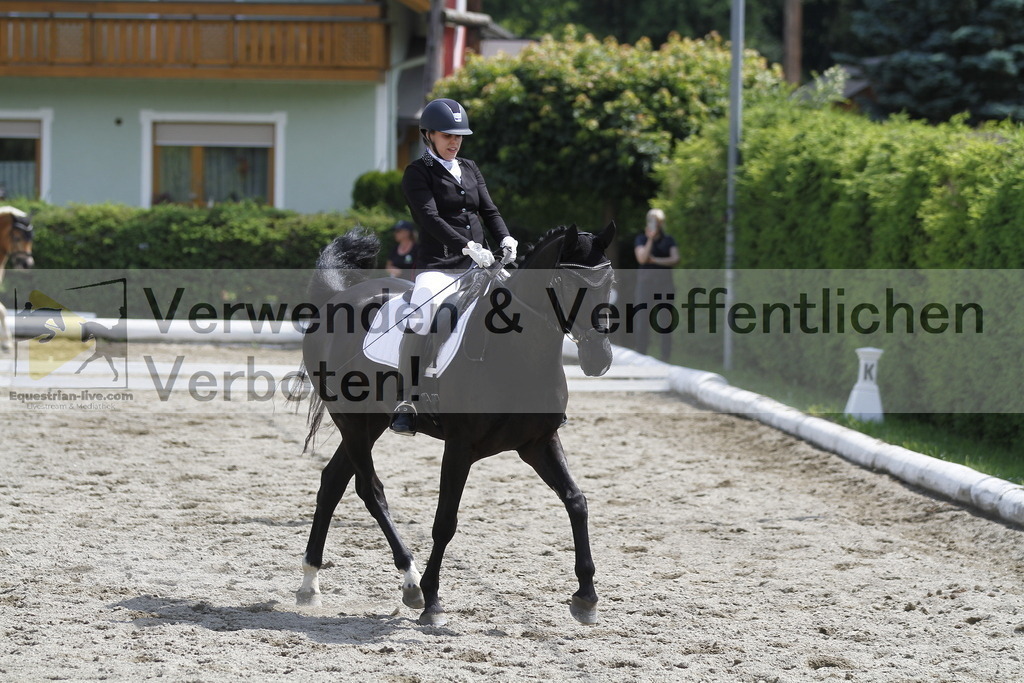 _MG_8508 | equestrian-live-com