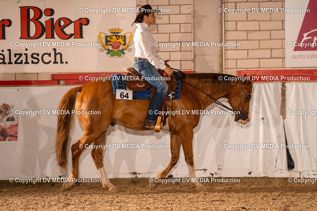 ZH200131 | dv-media-shop - Realisiert mit Pictrs.com