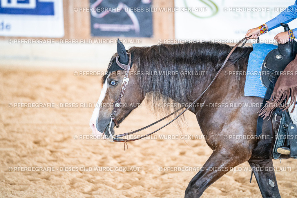 DSC09712 | Pferdegrafie