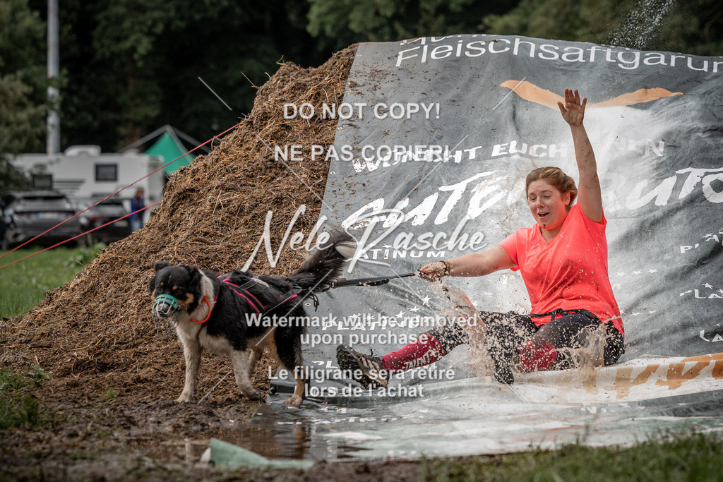 nelerasche_Wingst_Sa1300-1330_173 | nelerasche