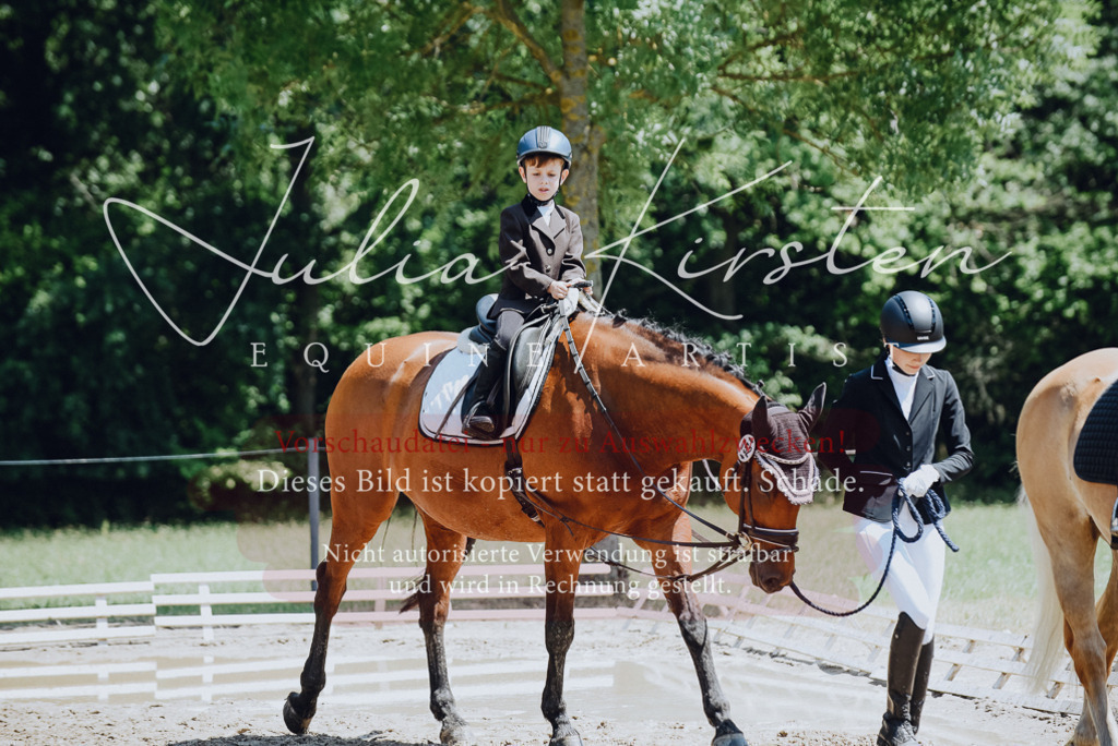 DSC_2128 | Pferde- und Turnierfotografie in Westsachsen. Pferdeportraits, Auftragszeichnungen und intuitive Kunst.