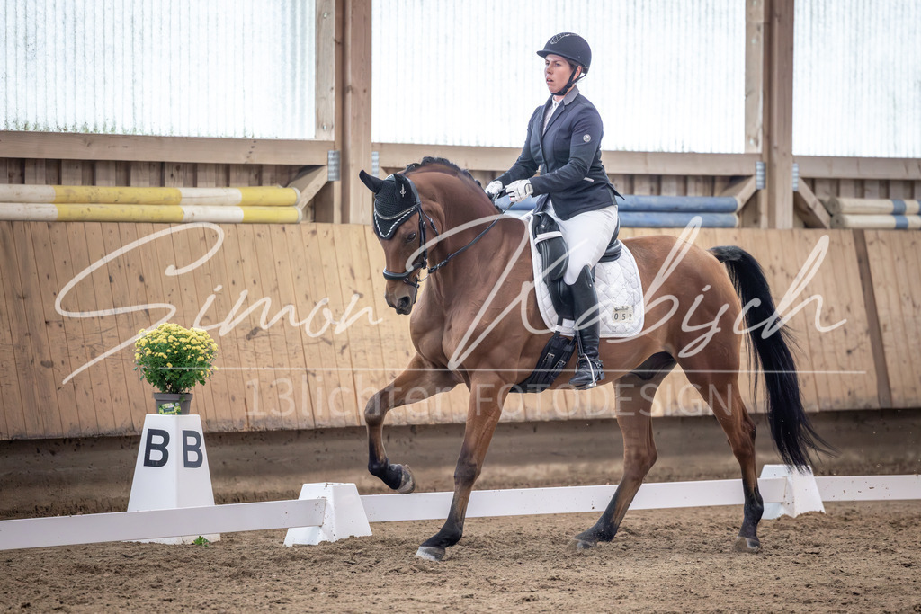 20251011-_3LI1609 | Tierfotografie Pferde, Hunde, Katzen, Haustiere.
Turnierfotografie Reitturniere, Reiten, Springreiten, Dressur in Hanau, dem Main-Kinzig-Kreis und dem Rhein-Main- Gebiet um Frankfurt