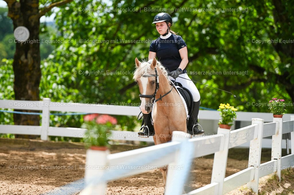 20230715_09_Dressur-WB_0536 | equistock
