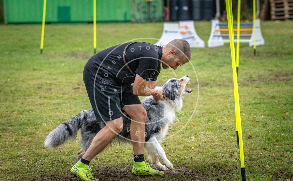 Pfotenfotografie_DV3A1477 | Hundefotografie, Tierfotograf, Pfotenfotografie, Fotoshooting Hund, Hunde Portrait, Hundesport, Hundeportraits, Heideshooting, Hunde, Sportfotograf, Hundefotograf, Turnierhundsport, THS,  - Realisiert mit Pictrs.com