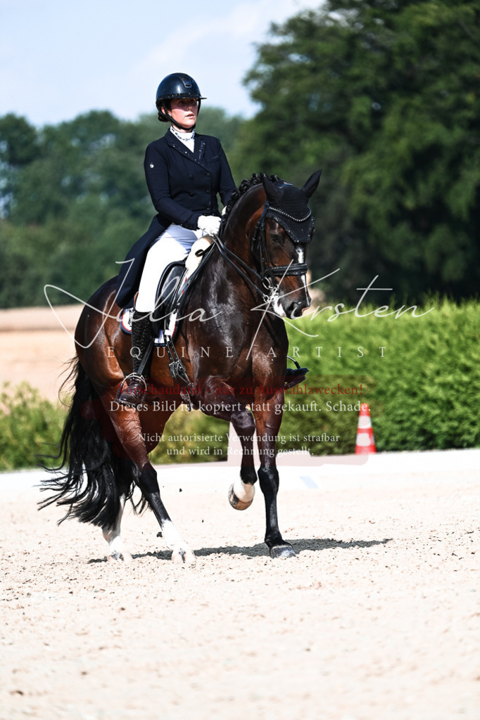 DSC_3406 | Pferde- und Turnierfotografie in Westsachsen. Pferdeportraits, Auftragszeichnungen und intuitive Kunst.