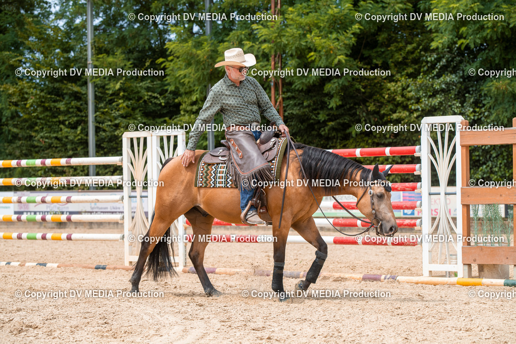 EWP_6471 | dv-media-shop - Realisiert mit Pictrs.com