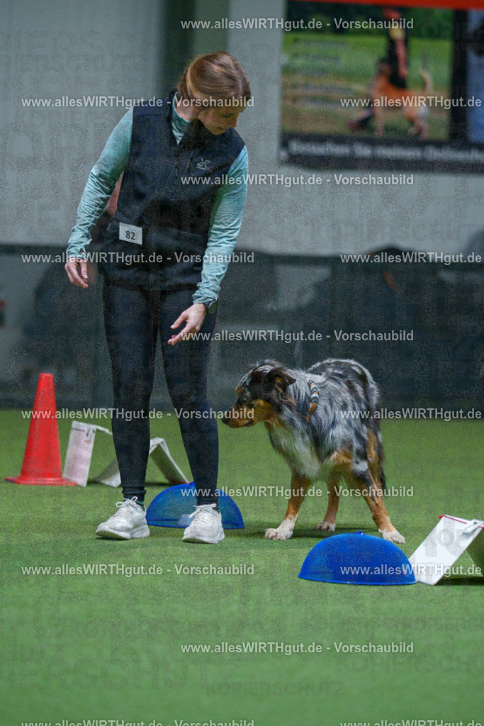 7R503091 | Professionelle Tierfotografie in Mönchengladbach von Daniel Wirth (allesWIRTHgut). Liebevolle & natürliche Bilder von Hunden & Katzen für unvergessliche Erinnerungen.