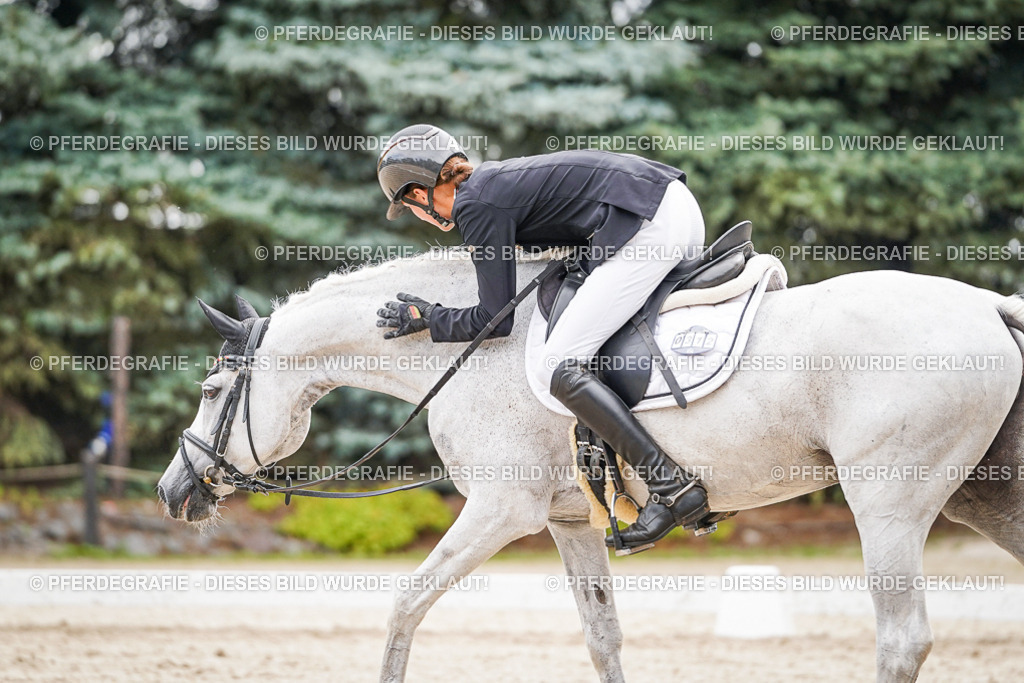 DSC02189 | Pferdegrafie