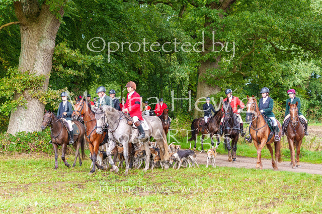 Jagd Perdoel 26 Sony-03927_MarinaHewig | Fotografie, FotoArt, PferdesportArt, Pferdesportfotografie, Landschaftsfotografie, Reisefotografie, Reise, Pferde - Realisiert mit Pictrs.com
