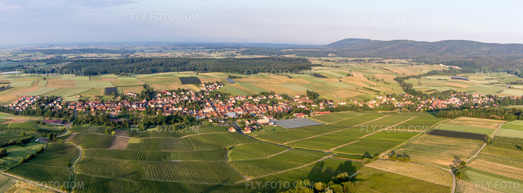 Aerial view: Panoramic perspective of agricultural fields and usable areas in Steinseltz in the state Bas-Rhin, France.Photo: IMG_100663-Pano.jpg taken on 06/02/2017 by Werner Riehm/FLY-FOTO.comResolution of the original: 8326 x 3080 px