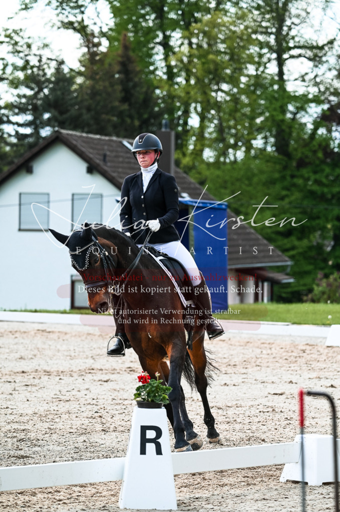 20230513_JK-Röhrsdorf-10-0713 | Pferde- und Turnierfotografie in Westsachsen. Pferdeportraits, Auftragszeichnungen und intuitive Kunst.