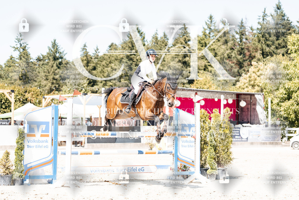 CK901010 | Turnierfotografie Pferdefotografie Trier Rheinland-Pfalz Pferdesport Reitsport Tierfotografie Sportfotografie Pferdevideo Pferdevideografie Equestrianvideography equestrianphotography  - Realisiert mit Pictrs.com