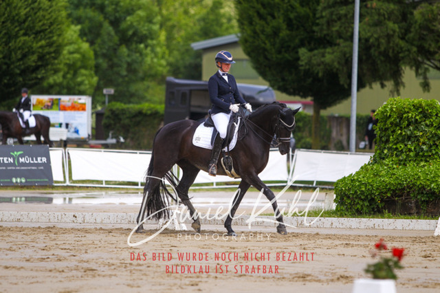 DKP40599 | Turniersportfotografie; Pferdefotografie; Dressurfotografie