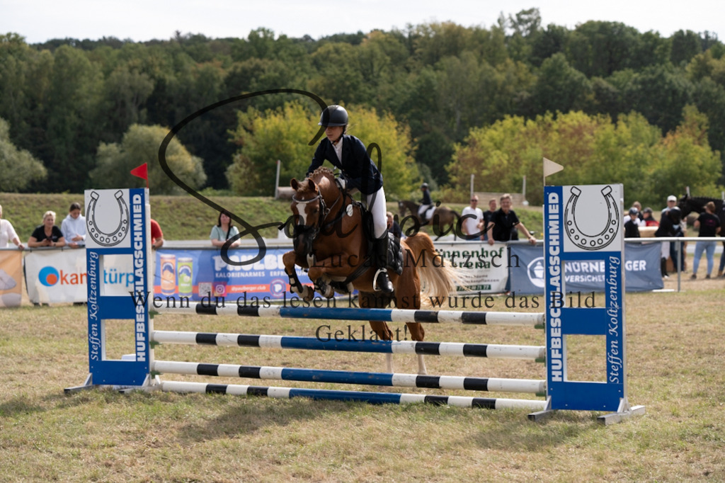 A7V08764 | Pferdefotograf