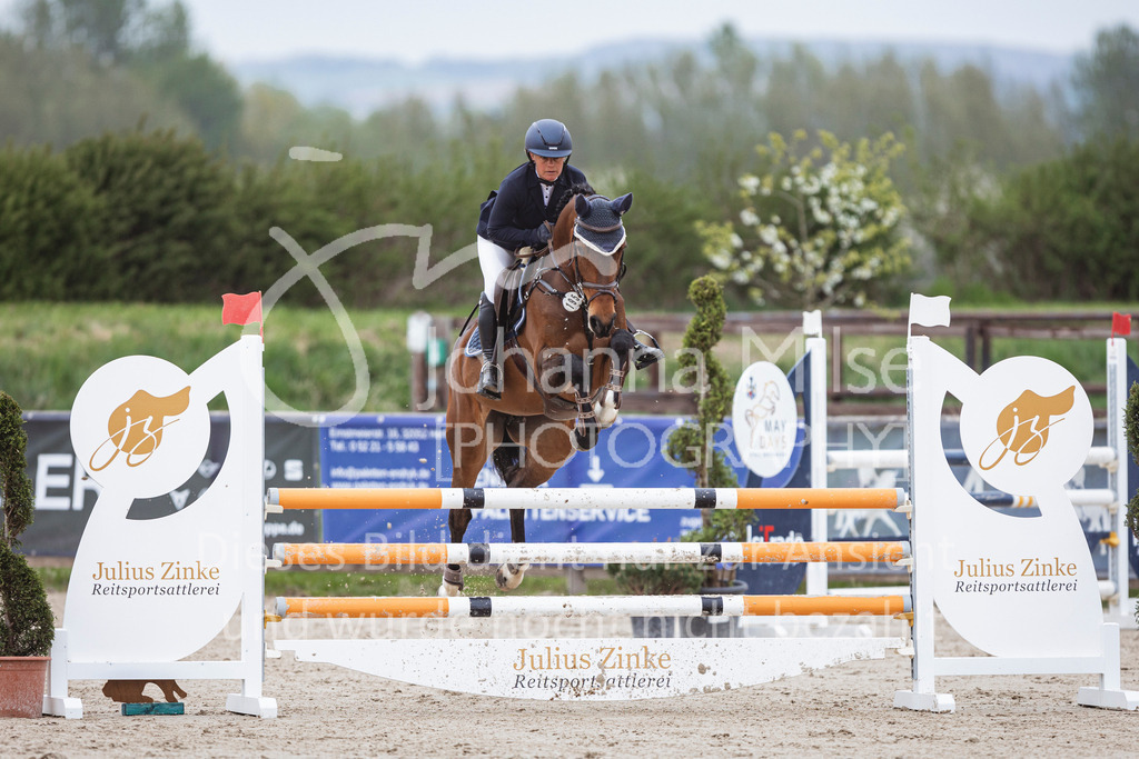 250417_Springpferde-L1-263 | Deine schönsten Turniermomente als professionelle Fotos! Entdecke hochwertige Pferdesport-Fotografie im Online-Shop. Jetzt Fotos finden & bestellen!