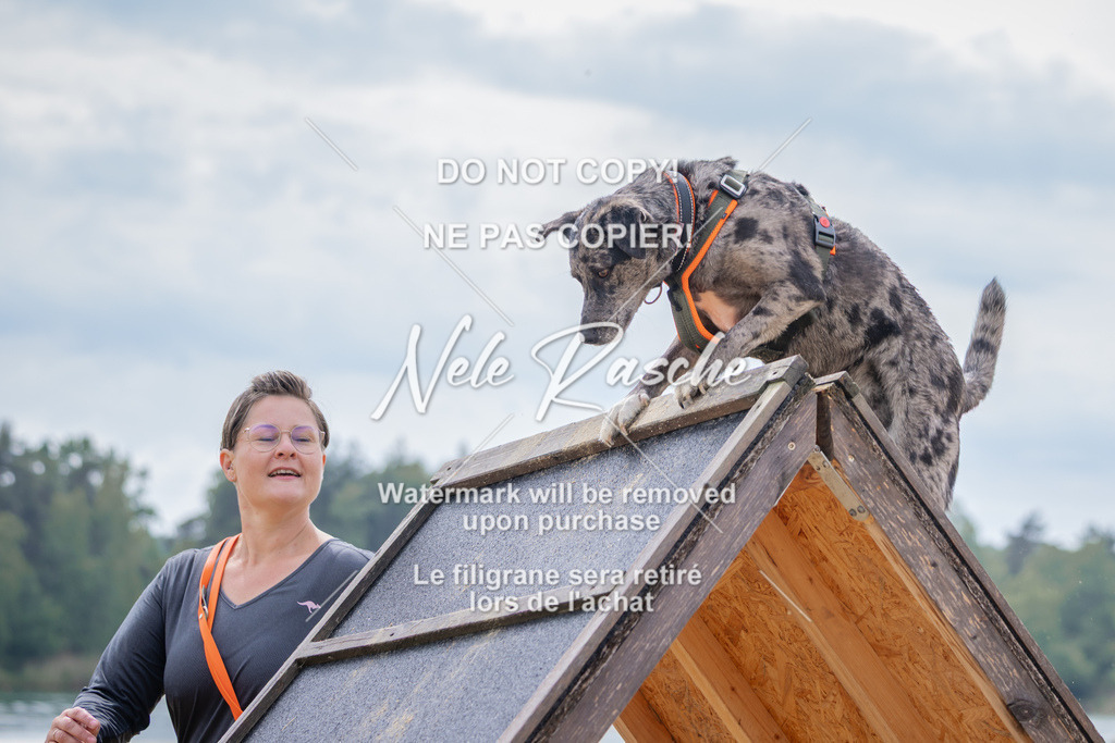 nelerasche_BuHu2026_So1430-1530_264 | nelerasche
