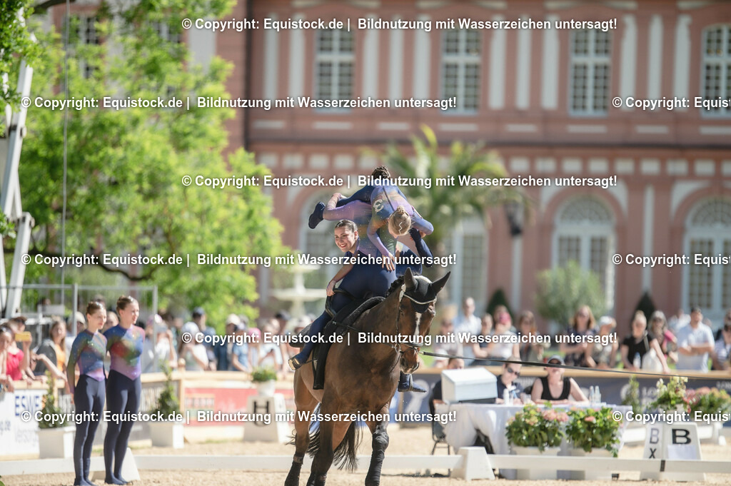 20230528_Voltigieren_NASPA_0455 | equistock