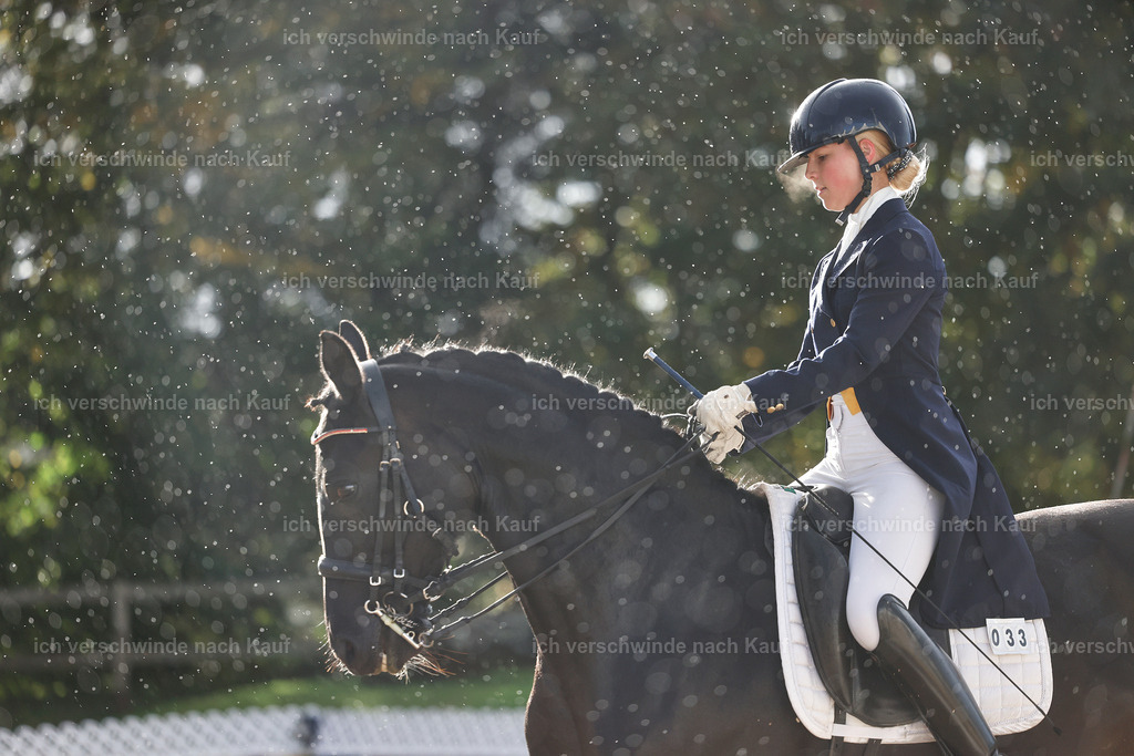 10-033-ST.GEORG SPECIAL -StoibPH-3130 | working equitationturnier fotograf videograf stoibphotography marixx film working equitation deutschland reitsport turnierfotografie eventfotografie equestrian events