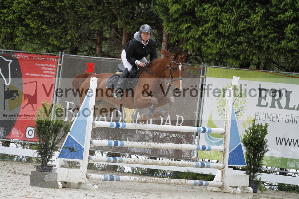_MG_1593 | equestrian-live-com