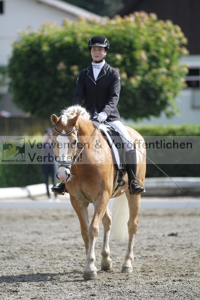 _MG_9506 | equestrian-live-com
