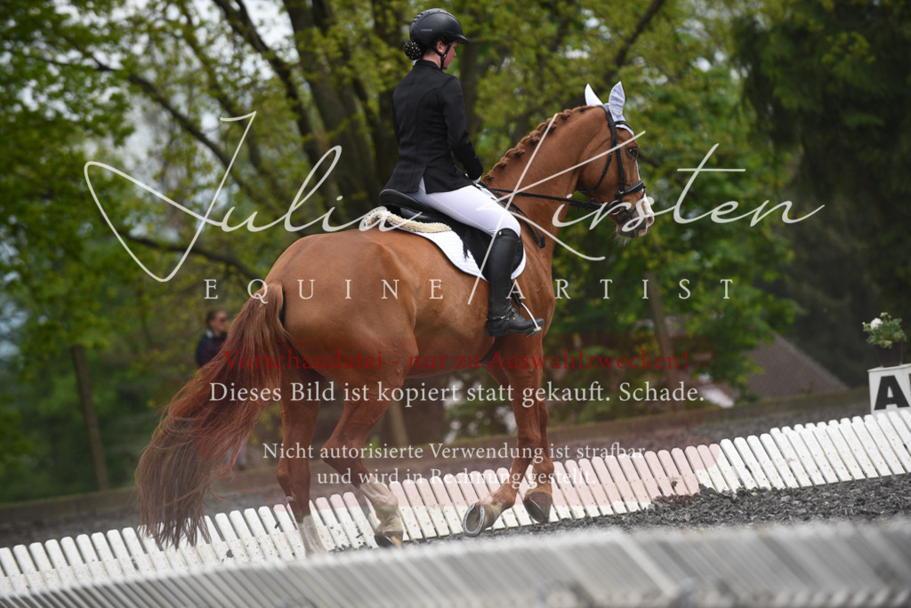 20230513_JK-Röhrsdorf-16-143 | Pferde- und Turnierfotografie in Westsachsen. Pferdeportraits, Auftragszeichnungen und intuitive Kunst.