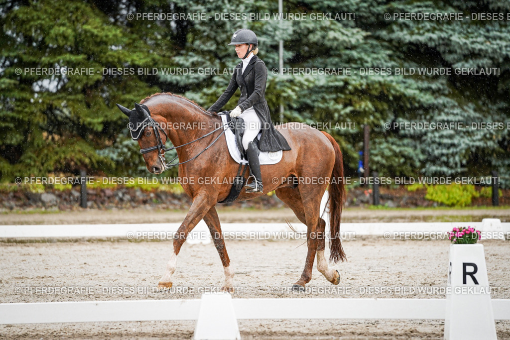 DSC09310 | Pferdegrafie