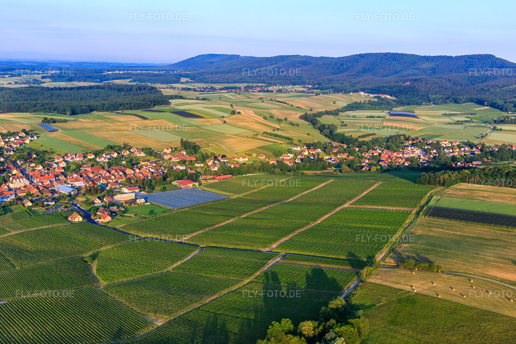 Luftbild: Ortsansicht von Nordosten in Steinseltz im Bundesland Bas-Rhin in Frankreich. – Foto: IMG_100665.jpg vom 02.06.2017 durch Werner Riehm/FLY-FOTO.de – Auflösung des Originals: 5472 x 3648 px