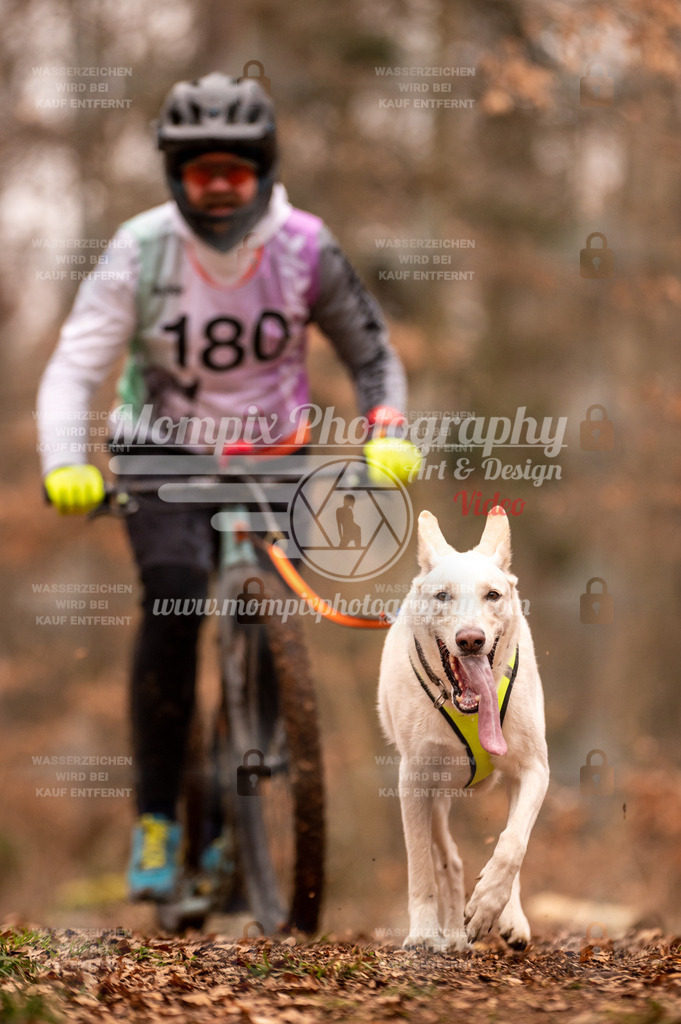 AKM_ST_2023_SAM_Scooter-56 | PayLife
