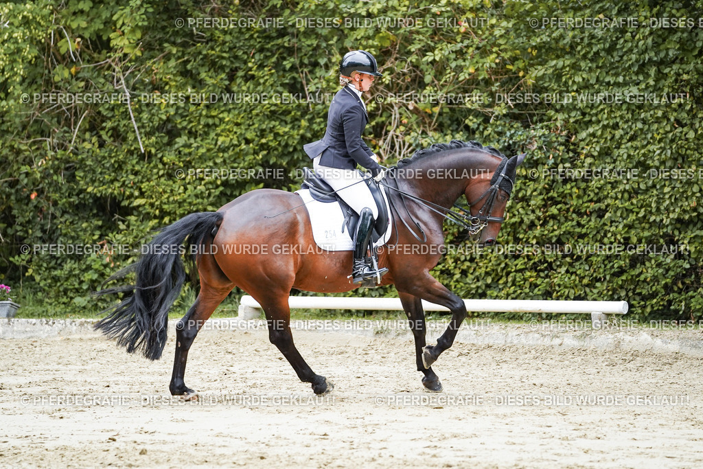 DSC09752 | Pferdegrafie