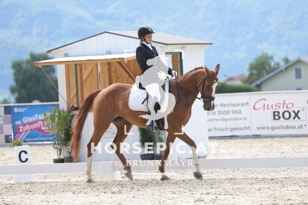 0P6A4980 | Willkommen bei Brunnmayr - Design & Fotografie – Ihrem Spezialisten für Reitturniere und Pferdeveranstaltungen in Oberösterreich, Salzburg und Bayern! Seit über 17 Jahren sind wir leidenschaftlich dabei.