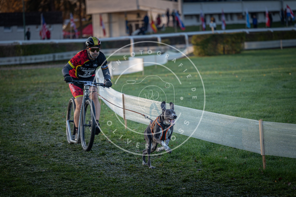 CaniXpix_0L8A1343 | Hundefotografie, Tierfotograf, Pfotenfotografie, Fotoshooting Hund, Hunde Portrait, Hundesport, Hundeportraits, Heideshooting, Hunde, Sportfotograf, Hundefotograf, Turnierhundsport, THS,  - Realisiert mit Pictrs.com