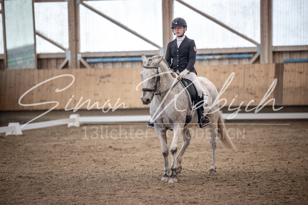 20251011-_3LI0629 | Tierfotografie Pferde, Hunde, Katzen, Haustiere.
Turnierfotografie Reitturniere, Reiten, Springreiten, Dressur in Hanau, dem Main-Kinzig-Kreis und dem Rhein-Main- Gebiet um Frankfurt