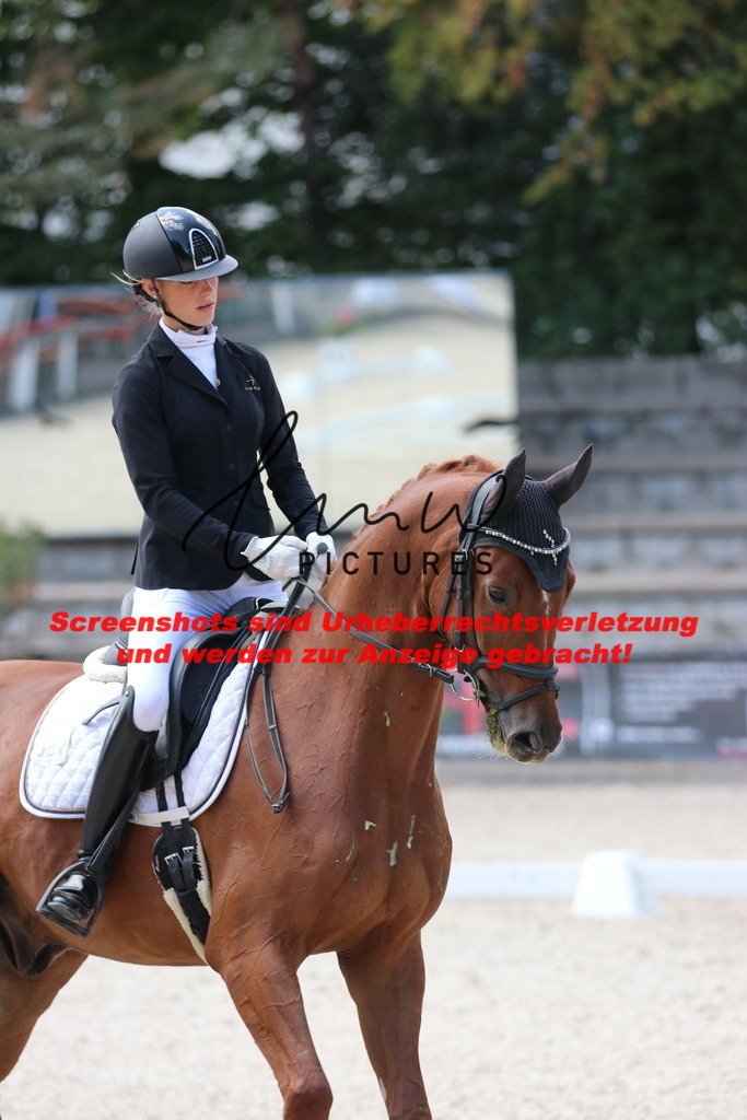 IMG_4518 | lmwpictures - Realisiert mit Pictrs.com