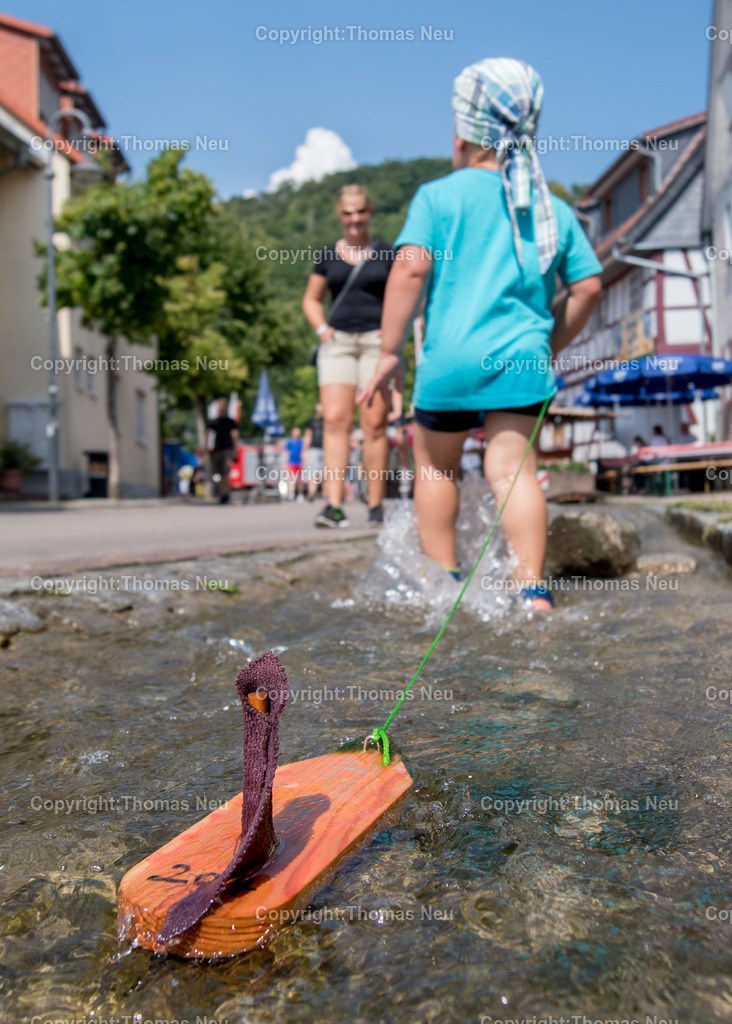 Bachregatta_08 | Bensheim, Auerbach, Bachgassenfest, Bachregatta, ,, Bild: Thomas Neu