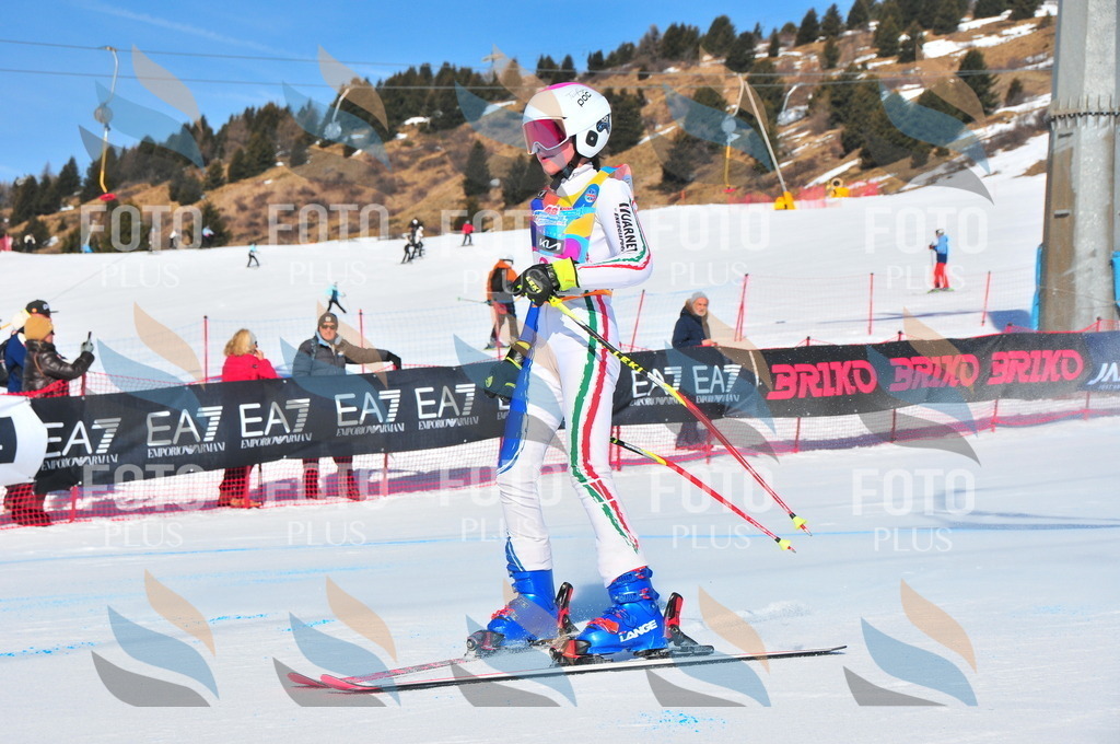 DSC_3737 | holidayphoto