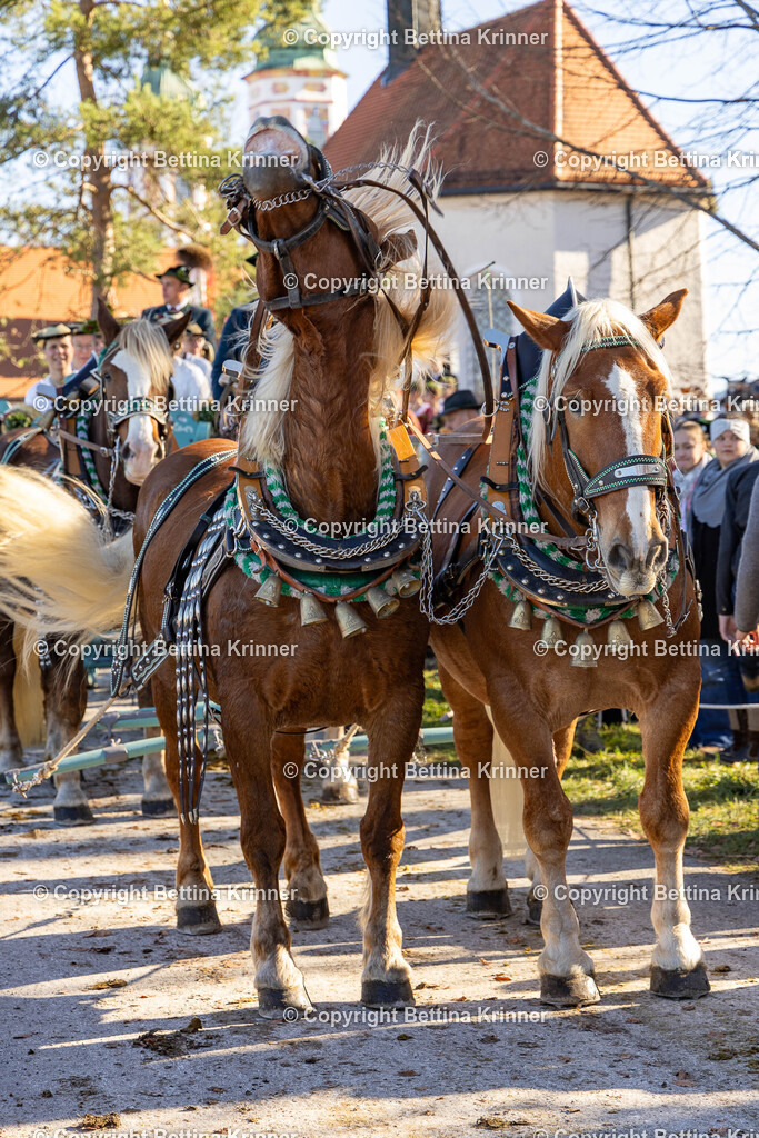LBT25-1163 | foto-bettina-krinner - Realisiert mit Pictrs.com