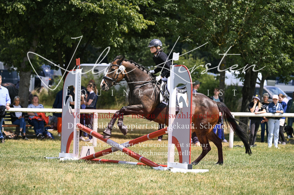 DSC_9244 | Pferde- und Turnierfotografie in Westsachsen. Pferdeportraits, Auftragszeichnungen und intuitive Kunst.