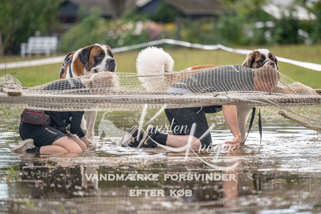 1508_ZZ91103 | kk-dogfotos