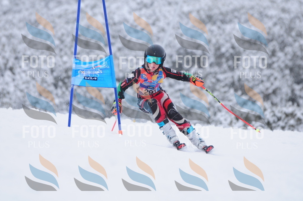 C3104 | holidayphoto