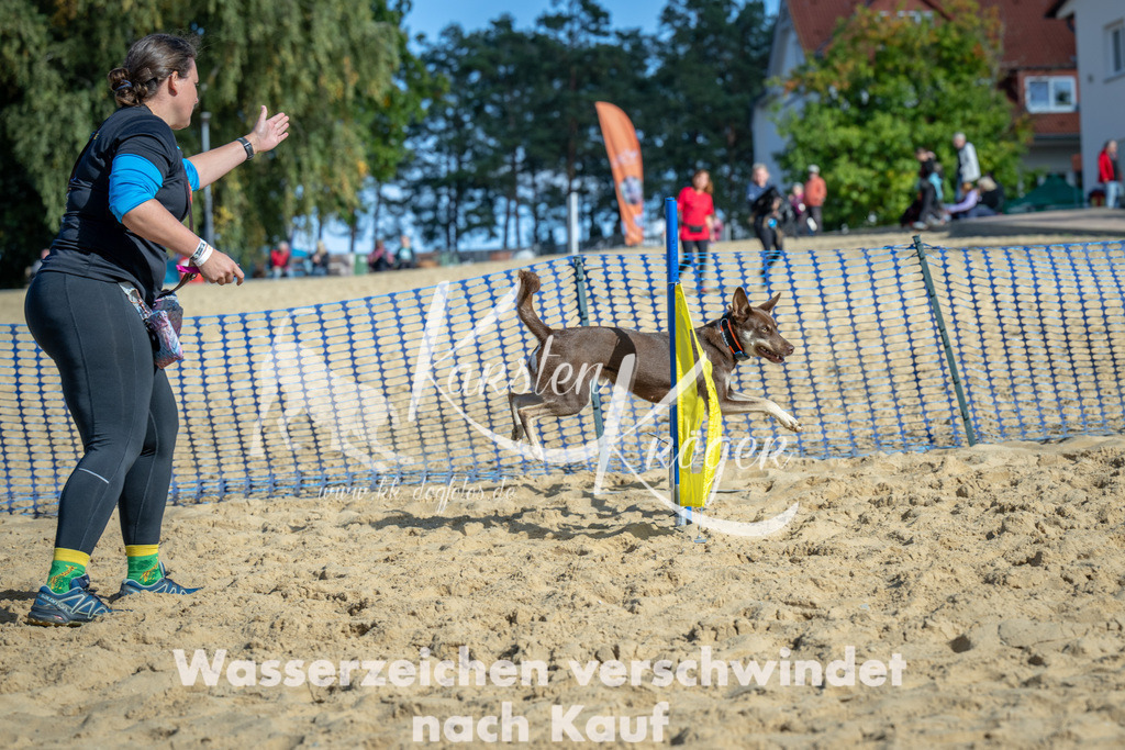 1211_ZZ92577-2 | kk-dogfotos