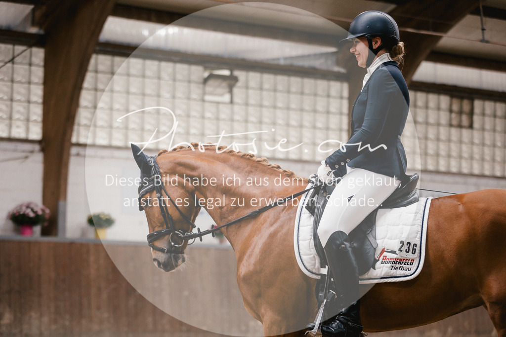 3I6A6744 | Stimmungsvolle Portraits und Reitsportfotografie im Ruhrgebiet und im Münsterland.

Pferdefotografie, Hundefotografie, Tierfotografie, Reportagen, Portraits von Tier und Mensch, Turnierfotografie in Bochum, Recklinghausen, Marl, Haltern am See, Dülmen.. - Realisiert mit Pictrs.com